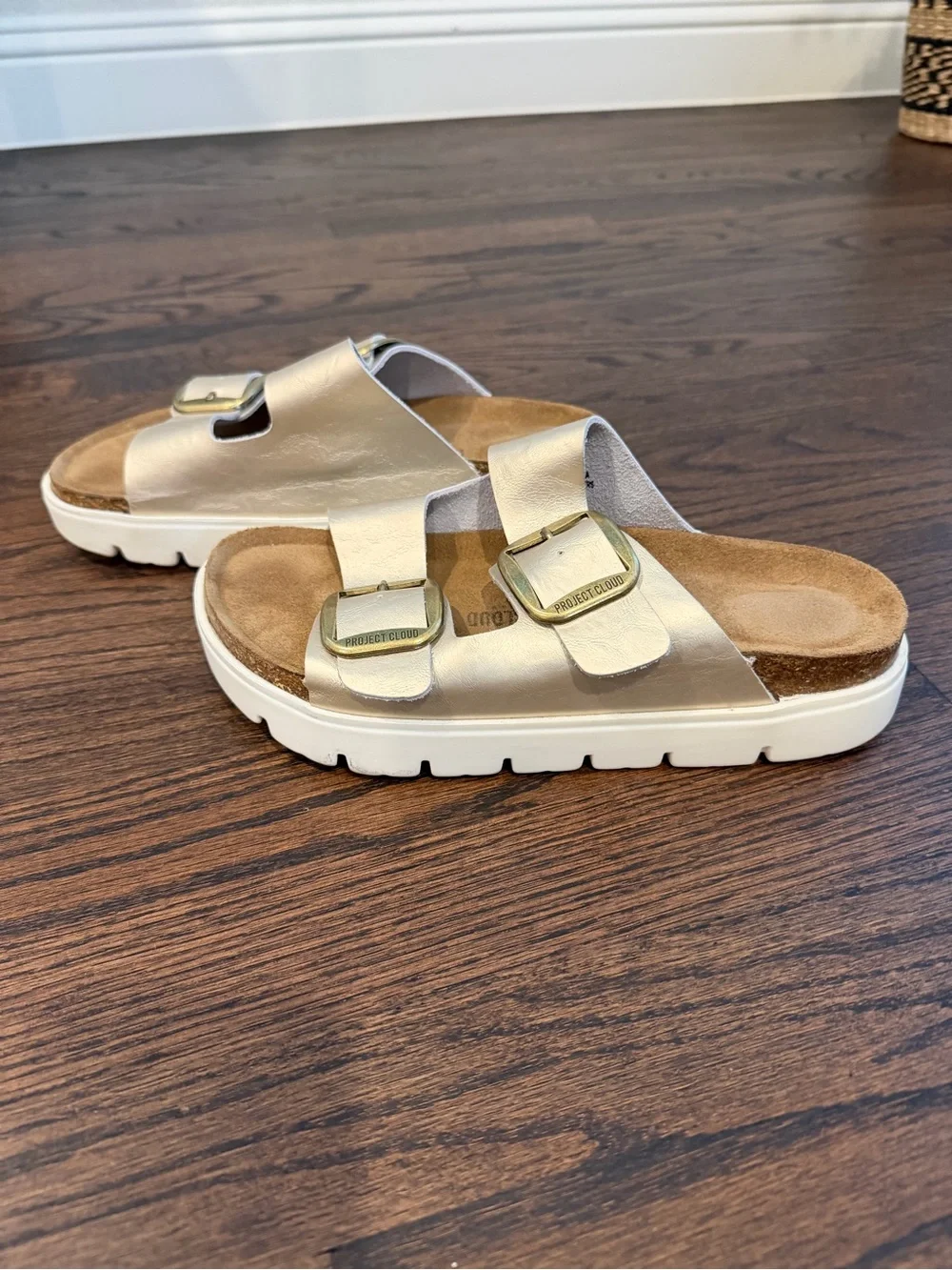 Metallic Double-Buckle Slide Sandals with Gold Buckles